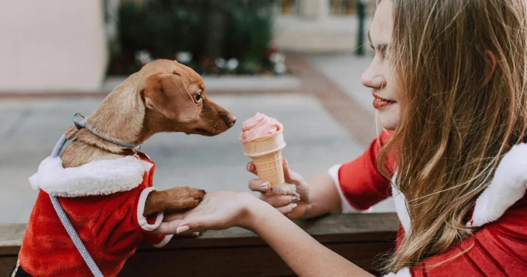 Dog Ice Cream